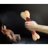 dowowdo Bone Dog Toy Chew Toys Chewing Sticks for Dogs